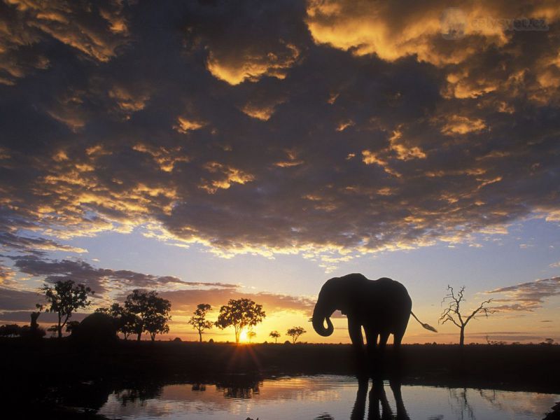 Chobe National Park	