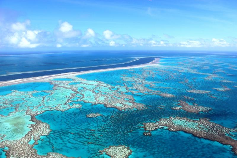 Great Barrier Reef-Whitsundays - Qld