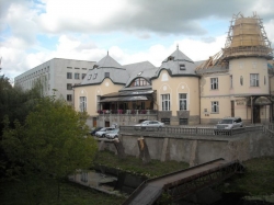 Золотой павлин