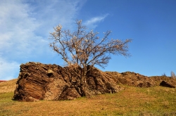 Скала Орлиное гнездо
