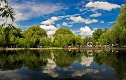 Лебединое озеро