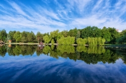 Лебединое озеро