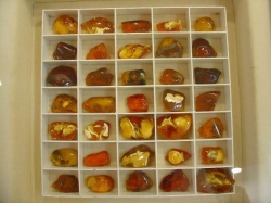 Музей янтаря